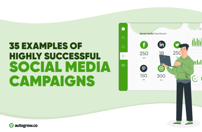 Designing Social Media Campaigns