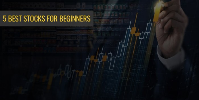 Best stocks for beginners