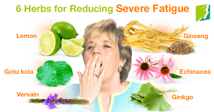 Herbal remedies for fatigue