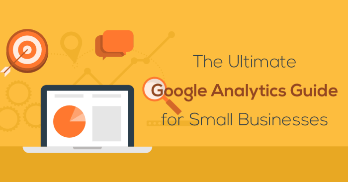 Google Analytics Guide