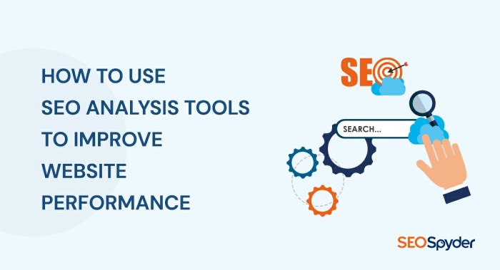 Using SEO Analytics Tools